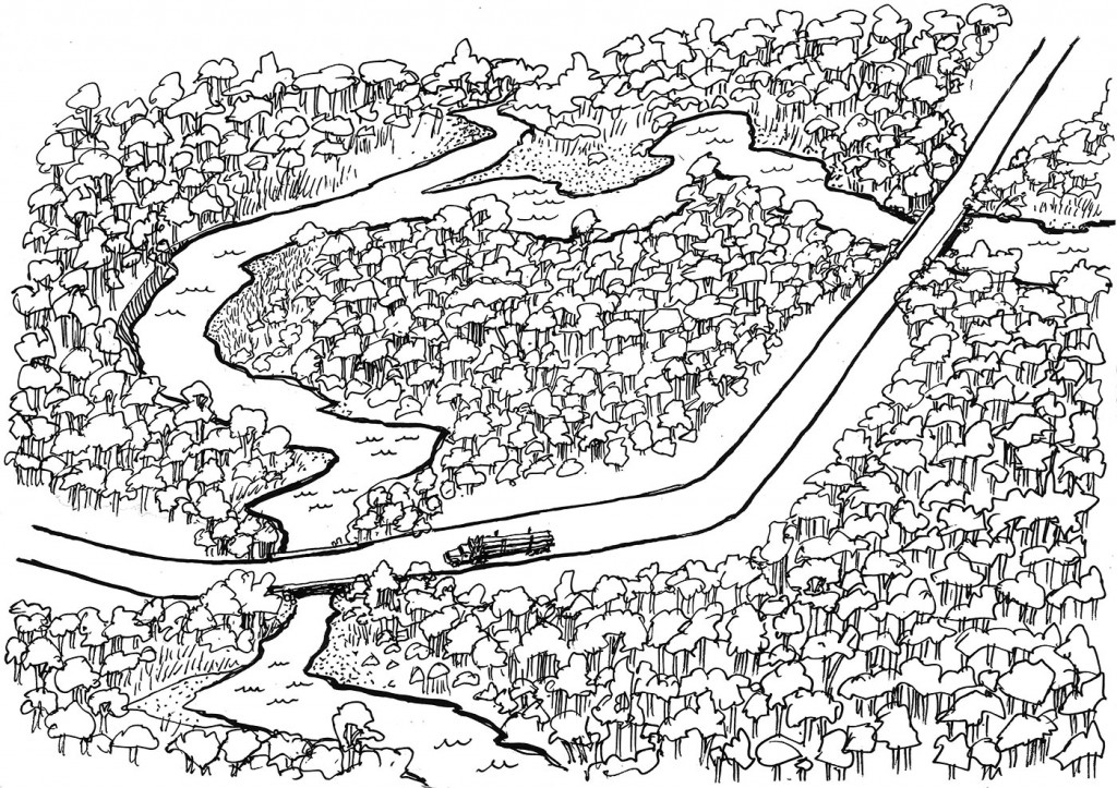Pen and ink illustration of a forestry road for a logging code of practice.