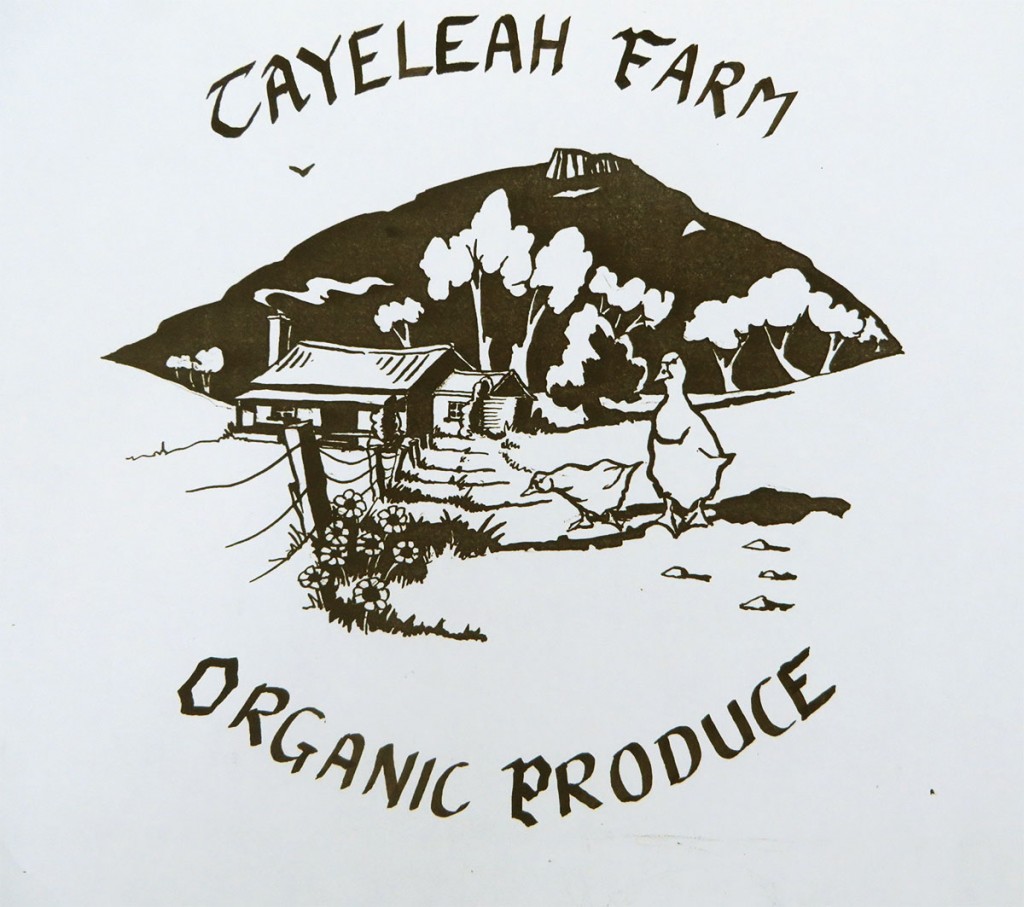 Logo commissioned in 1980s for an organic farm in northern Tasmania.