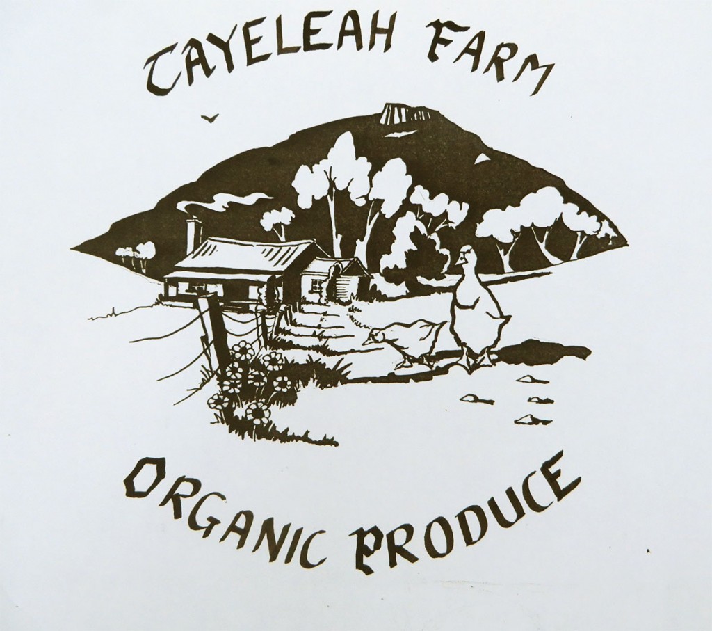 Logo commissioned in 1980s for an organic farm in northern Tasmania.