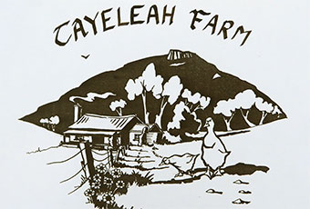 Logo commissioned in 1980s for an organic farm in northern Tasmania.