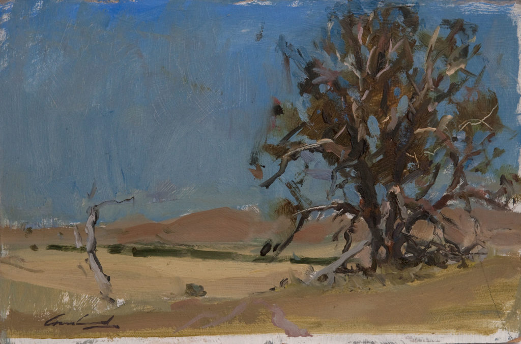 Plein air oil painting of a rural landscape near Ouse in Tasmanian rural landscape, Australia