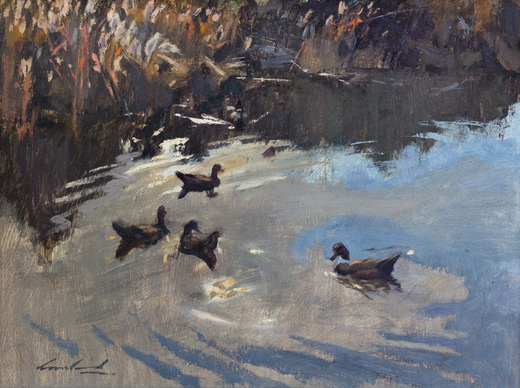 Oil painting of 4 ducks on water. By Tasmanian plein air artist, Rick Crossland.